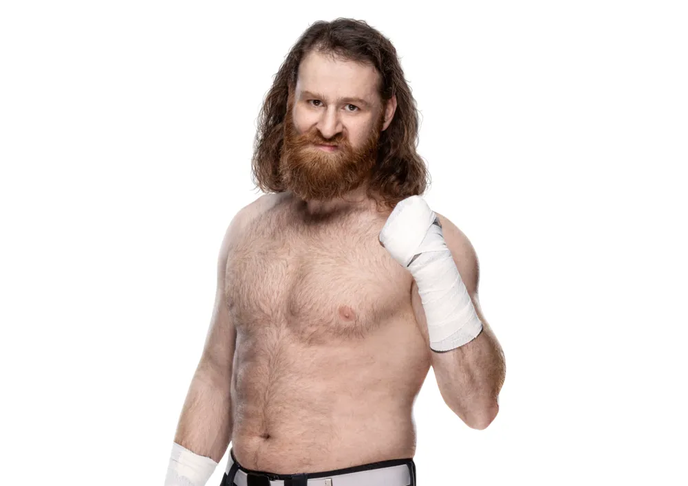 Sami Zayn